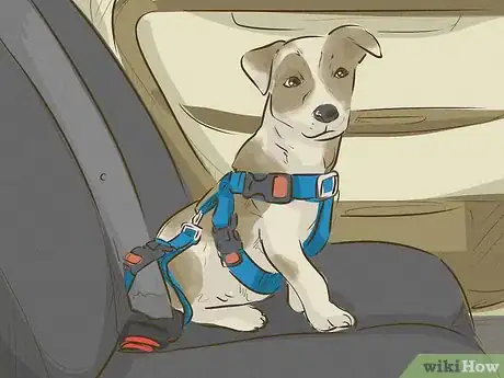 Image titled Keep Your Dog Happy Step 10
