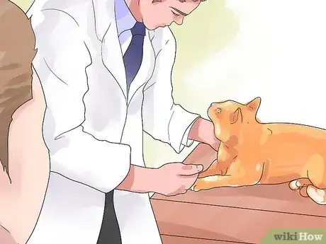 Image titled Recognize Feline Heart Disease Step 17