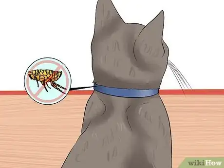 Image titled Check Cats for Fleas Step 12