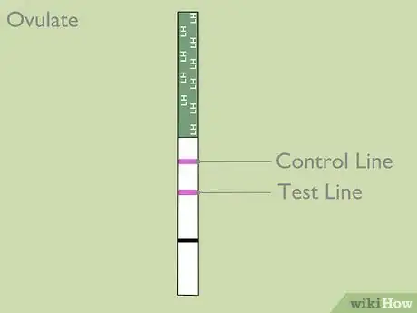 Image titled Read Ovulation Test Strips Step 4