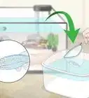 Take Care of Your Fish