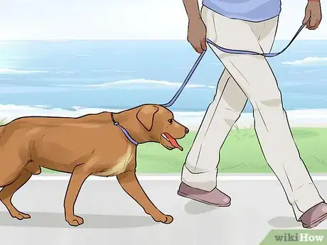 Image titled Get a Dog to Behave in Restaurants Step 1
