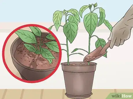 Image titled Take Care of Plants Step 3