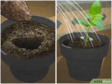 Image titled Grow an Indoor Herb Garden Step 13