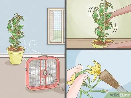 Image titled Grow Tomatoes Indoors Step 10