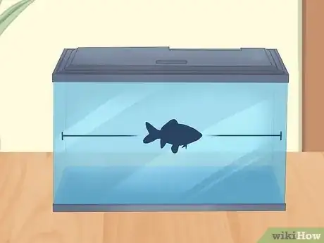 Image titled Prevent Stress in Pet Fish Step 1