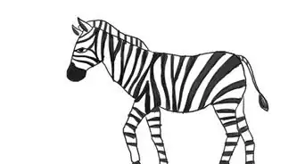 Draw a Zebra