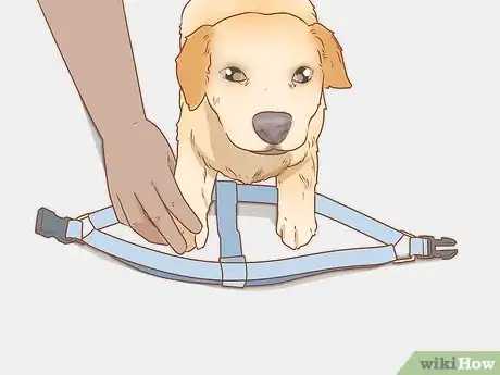 Image titled Put on a Dog Harness Step 3