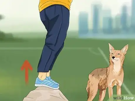 Image titled Deter Coyotes Step 11