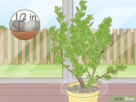 Image titled Get Rid of Fruit Flies in Plants Step 4