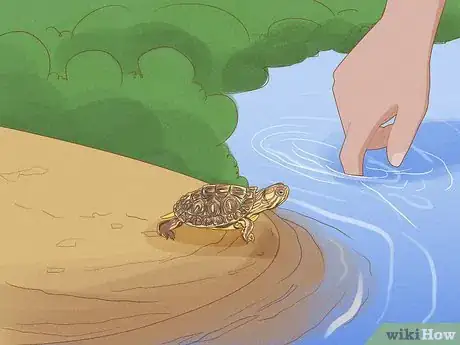 Image titled Catch a Turtle Step 9