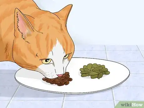 Image titled Feed an Overweight Cat Step 7