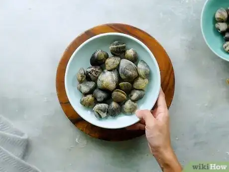 Image titled Shuck Clams Step 1