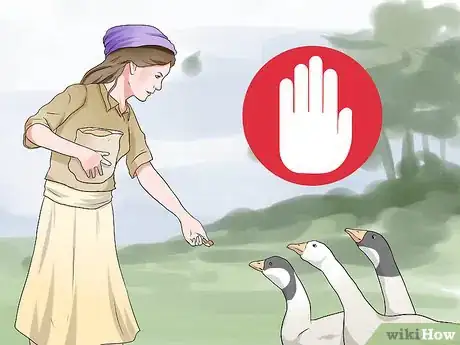 Image titled Feed Geese Safely Step 12