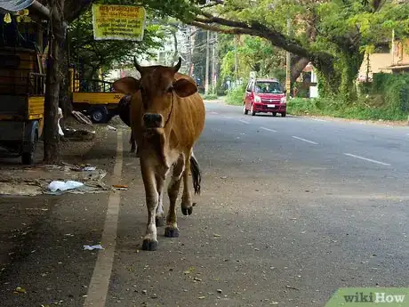 Image titled Drive in India Step 3