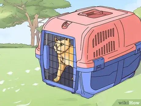 Image titled Get a Cat to Be Your Friend Step 13