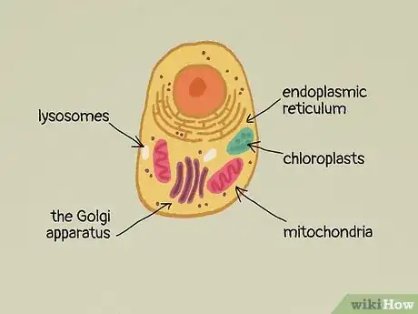 Image titled What Do All Cells Have in Common Step 11