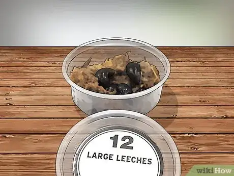 Image titled Keep Leeches As Pets Step 2