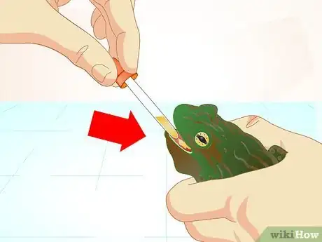 Image titled Care for a Sick Frog with Red Leg Disease Step 7