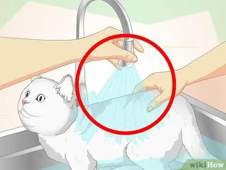 Image titled Inconspicuously Bathe a Cat Without Being Scratched Step 9