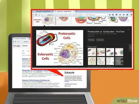 Image titled Tell the Difference Between Prokaryotes and Eukaryotes Step 6