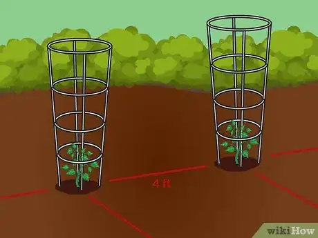 Image titled Cage Tomatoes Step 09