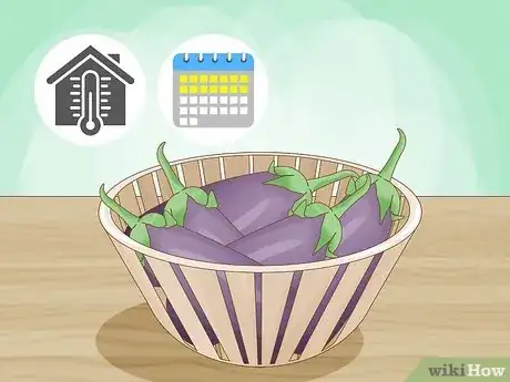 Image titled Harvest Eggplant Step 9