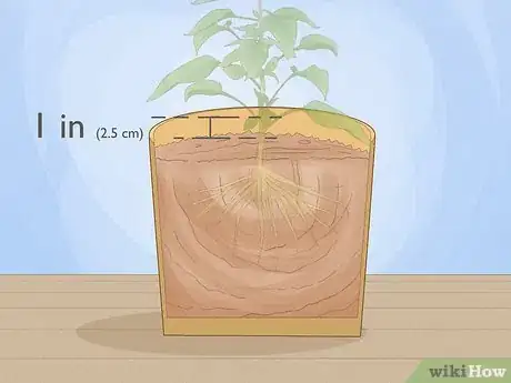 Image titled Plant a Plant Step 10