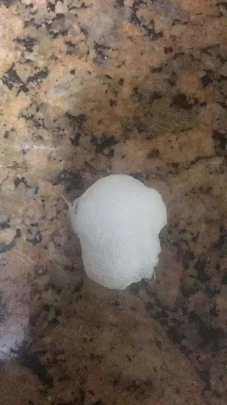 Image titled Cottonball