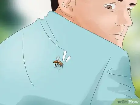 Image titled Escape from Killer Bees Step 11