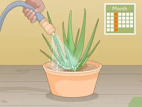 Image titled Force Bloom on Aloe Vera Step 5