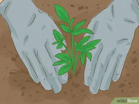 Image titled Plant an Herb Pot Step 16