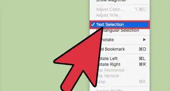 Efficiently Select All the Text in a PDF Document