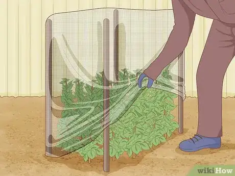 Image titled Protect Plants Step 2