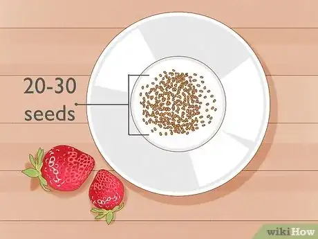 Image titled Plant Strawberries Indoors Step 3