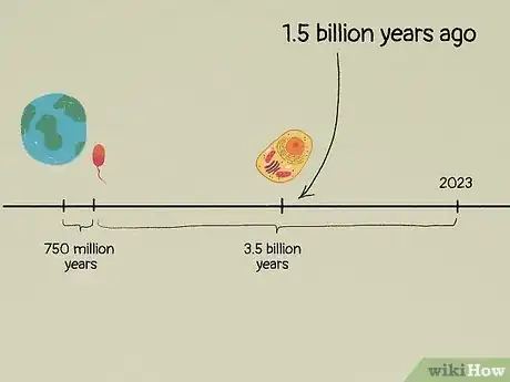 Image titled What Do All Cells Have in Common Step 16