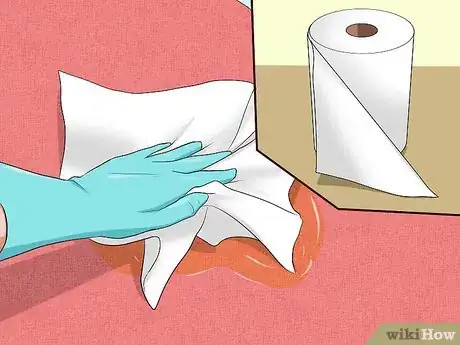 Image titled Remove Cat Urine Smell Step 1