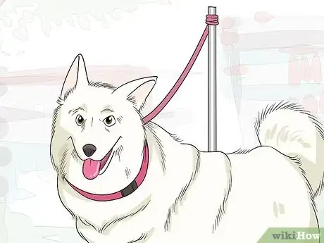 Image titled Shave Your Dog Step 8