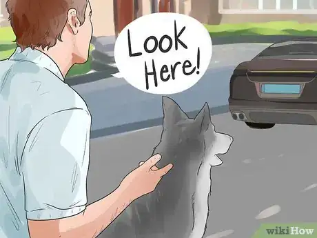 Image titled Deal With Your Dog's Fear of Vehicles Step 5