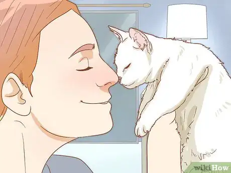 Image titled Get a Kitten to Fall Asleep Step 11