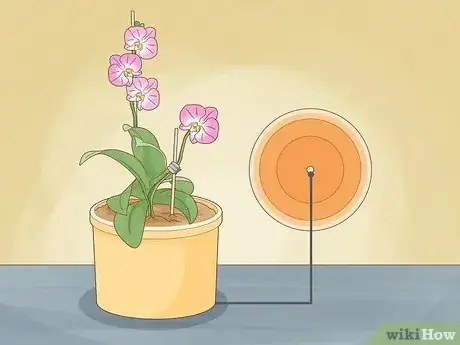 Image titled Care for Orchids Step 10