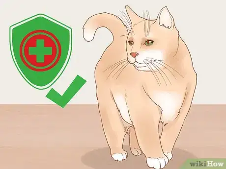 Image titled Train a Therapy Cat Step 14