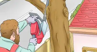 Cut a Limb from a Tree