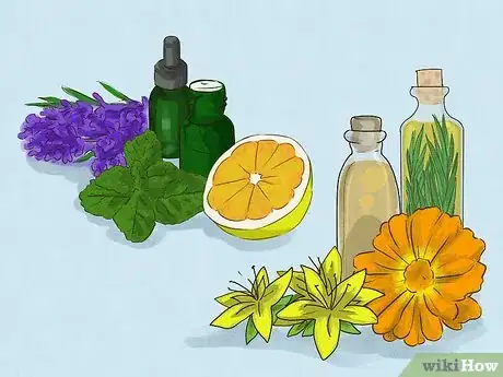 Image titled Tell the Difference Between Essential Oil and Infused Oil Step 4