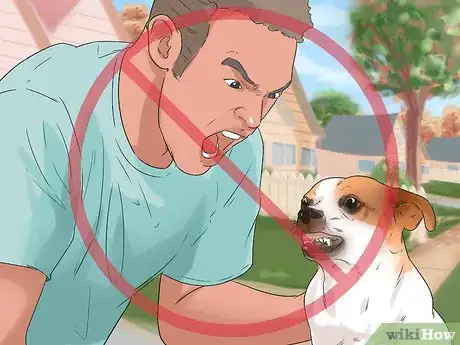 Image titled Groom a Dog That Bites Step 4