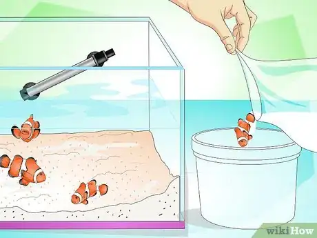 Image titled Tell if Your Fish Is Sick Step 6