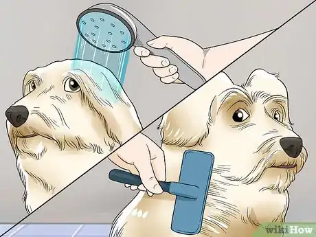 Image titled Shave Your Dog Step 7