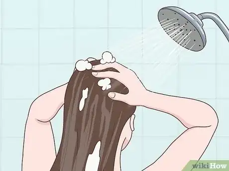 Image titled Blow Dry Hair Step 1.jpeg