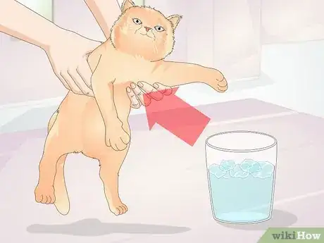 Image titled Keep Cats from Drinking Out of Glasses Step 1