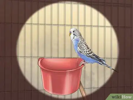 Image titled Choose a Good Budgie Step 4